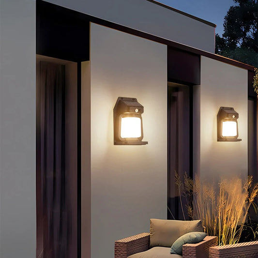 outdoor garden induction wall lamp