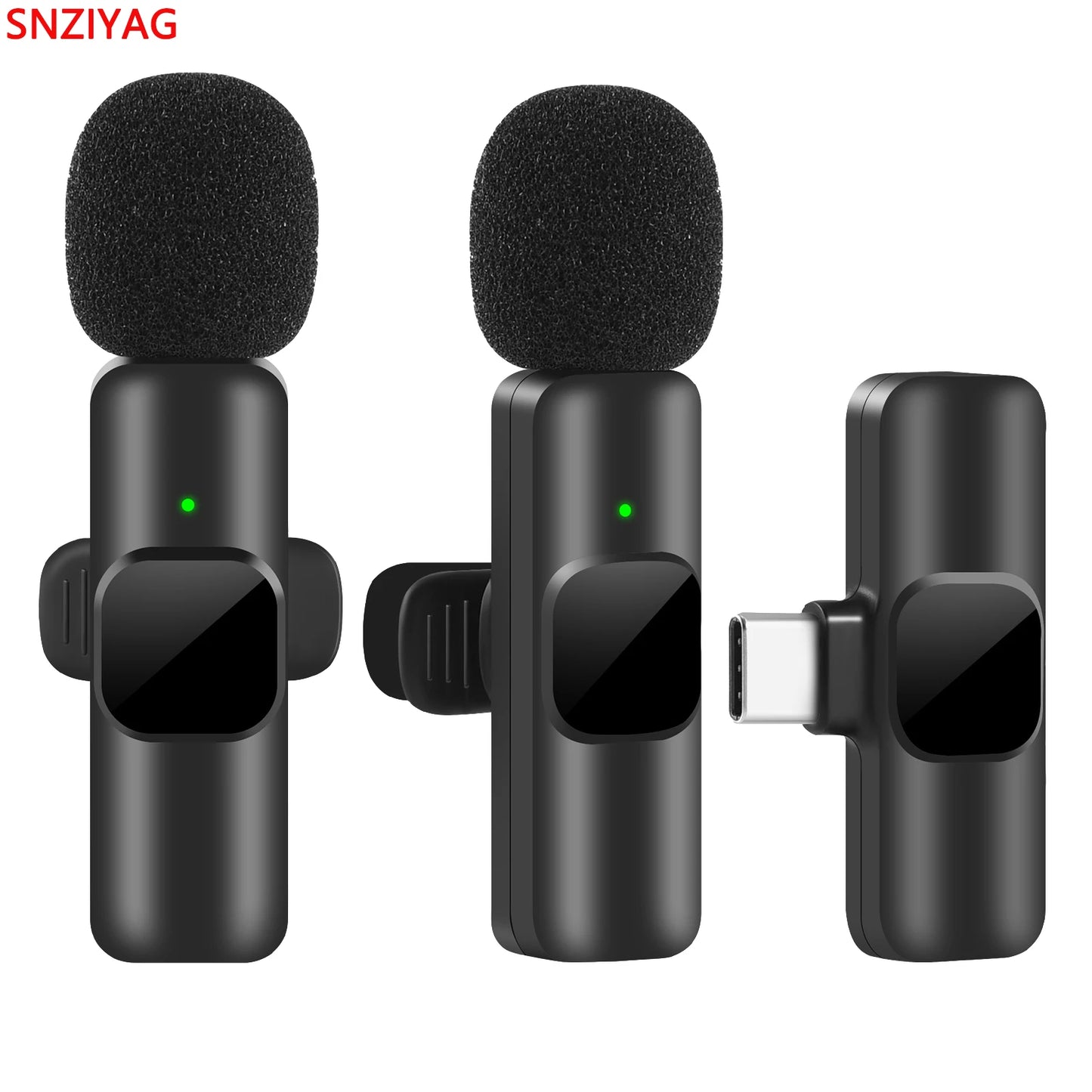 Microphone Portable